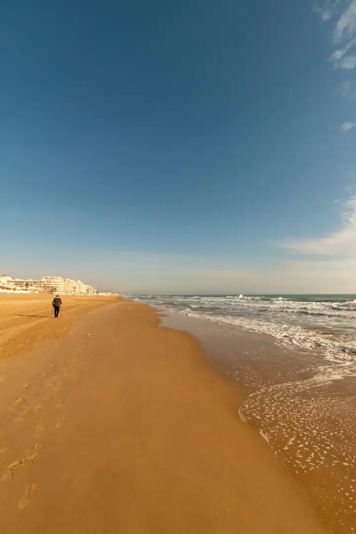 Casa o chalet en venta en Guardamar Playa