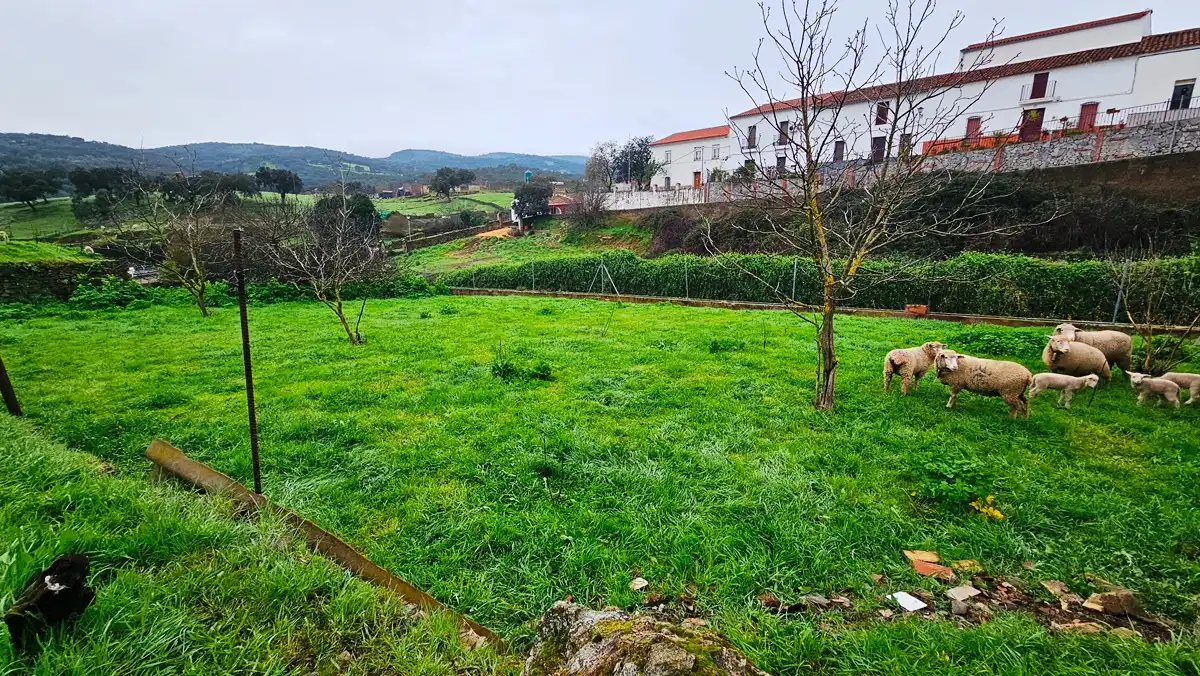 Residential for sale in Arroyomolinos de León