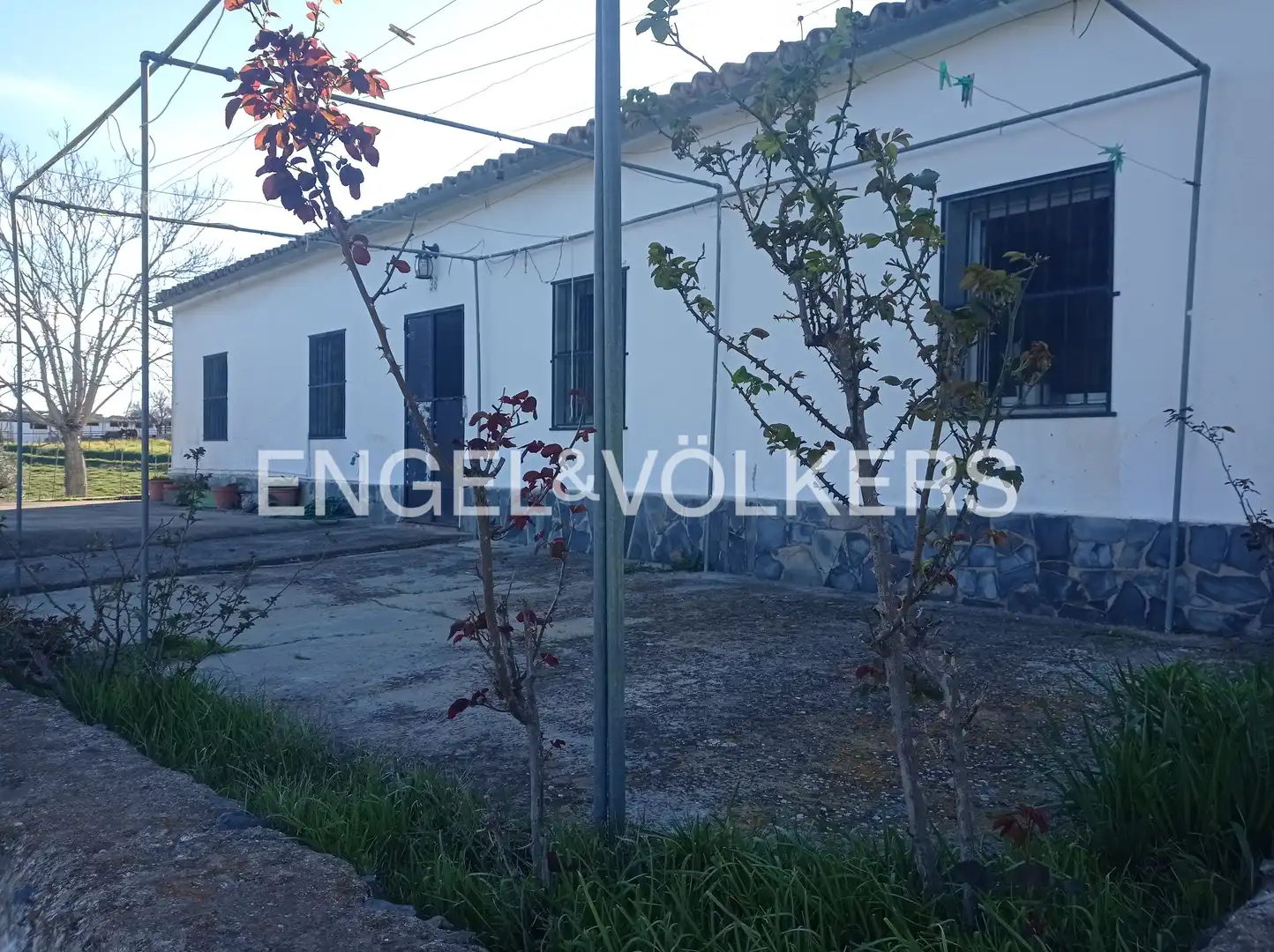 Vista exterior de Finca rústica en venta en Cazalla de la Sierra con Calefacción y Jardín privado