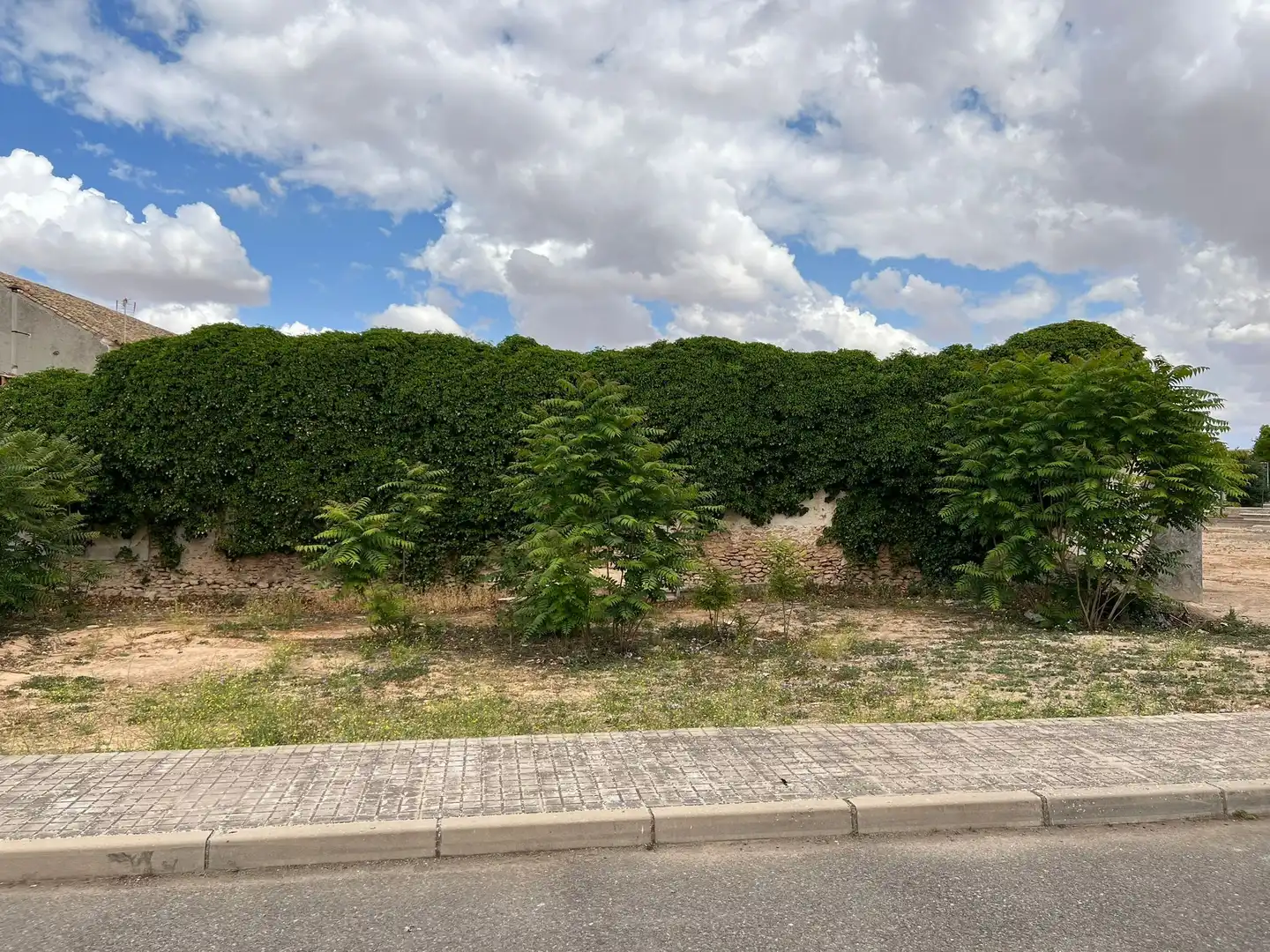 Terreny residencial en venda a Calle Carrión 8, imagen 4