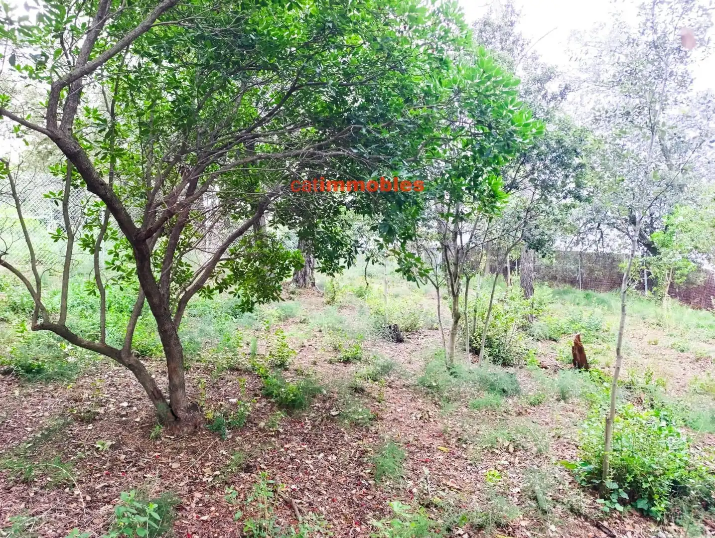 Residential for sale in Sant Cugat del Vallès