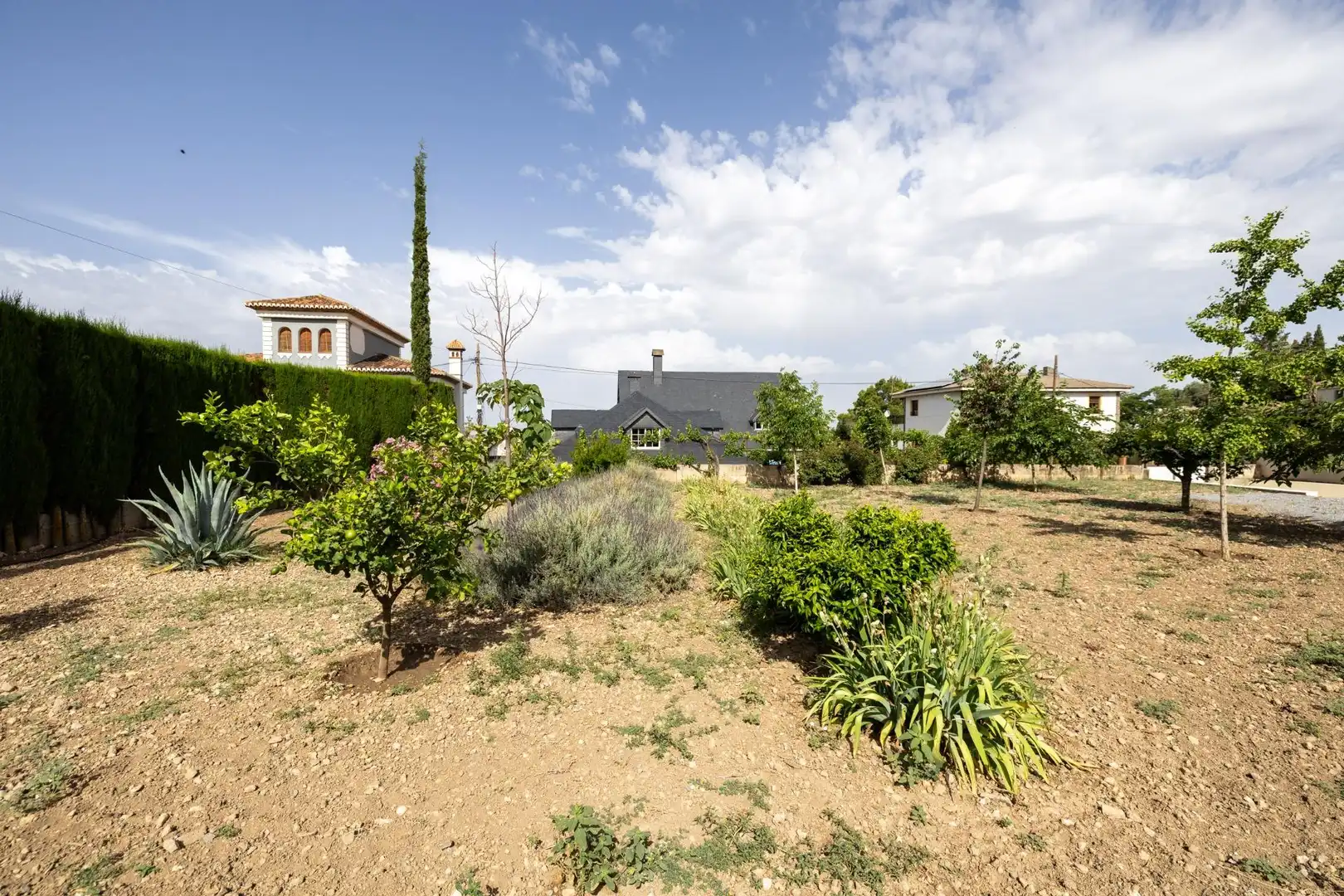 Lands and plots for sale in Barrio de la Vega, imagen 15