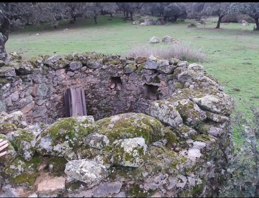 Land for sale in Santibáñez el Bajo