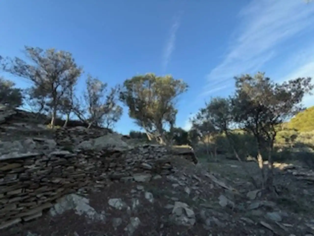Rural land for sale in Cadaqués, imagen 3