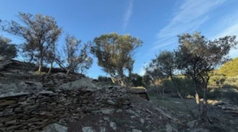 Terreno rústico en venta en Cadaqués, immagine 3