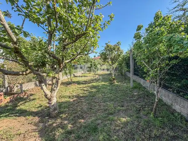 Casa con jardín en venta en Avenida Paseo Portugal, imagen 12