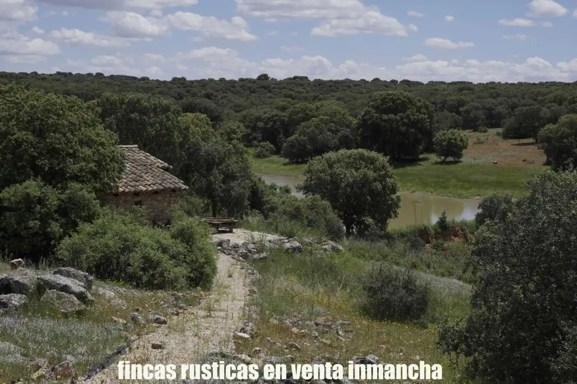 Terreni e lotti in vendita a Belmonte, imagen 19