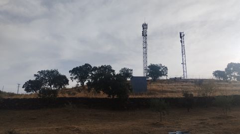 Terreno cerca de Jerez. Olivos, luz, buen acceso, imatge 2