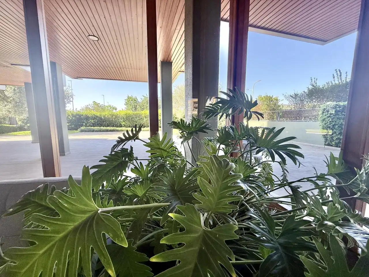 Flat for rent in Camí dels Reis, Zona los Colegios