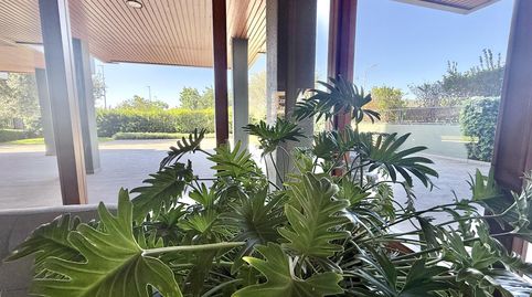Foto 2 von Wohnung zur Miete in Camí Dels Reis, Zona los Colegios, Palma de Mallorca