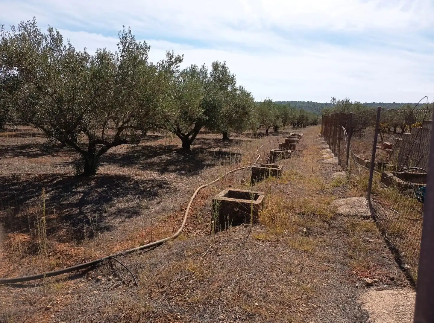 Jardín de Casa o chalet en venta en Bolbaite