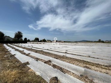 Terreno residenziale in vendita a Calle Camino de los Tollos 0