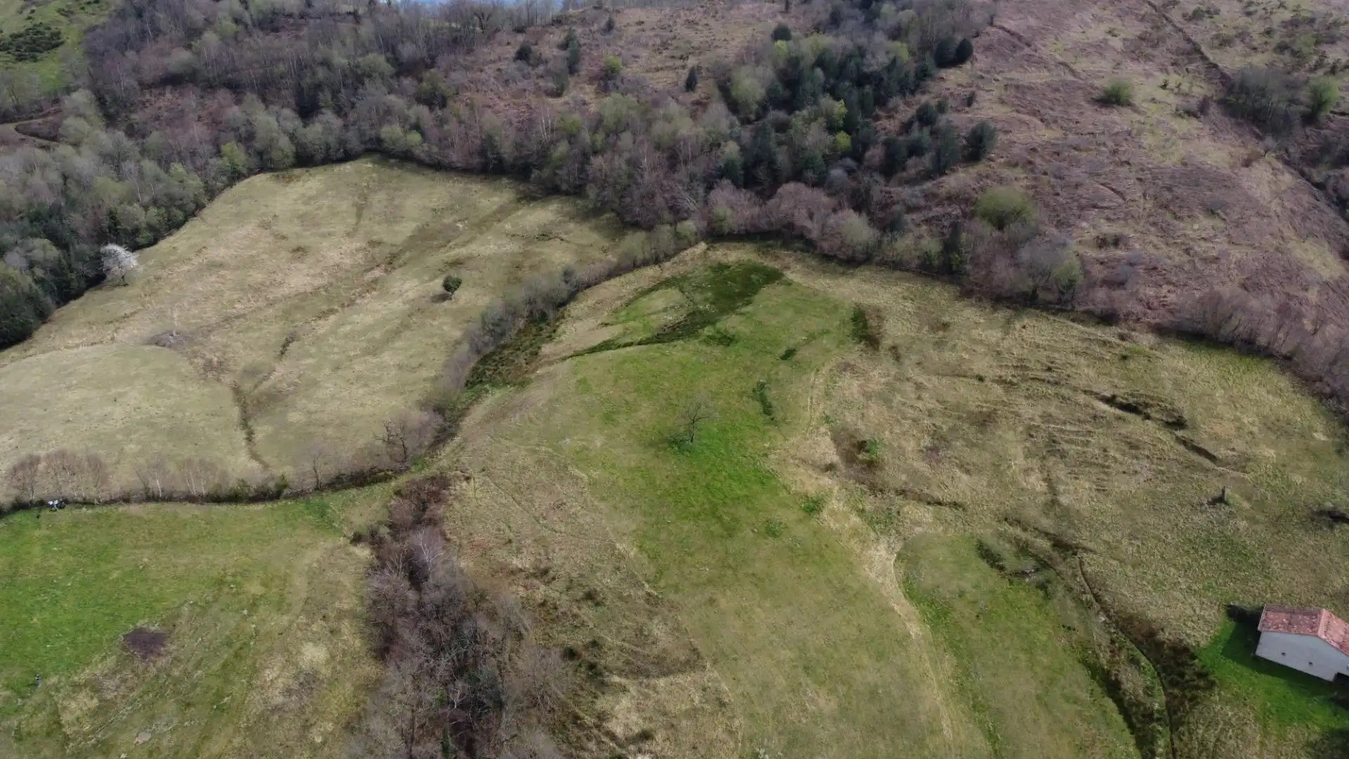 Land for sale in Riosa