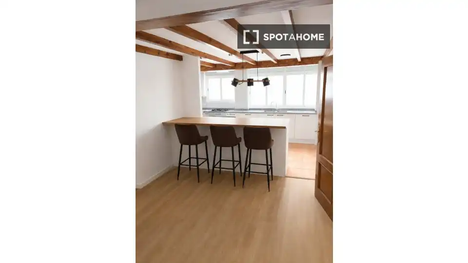 Cuina de Apartament per a compartir en Alicante / Alacant amb Aire condicionat, Terrassa i Moblat