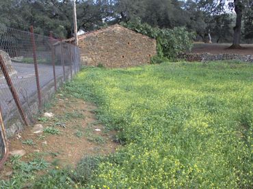 Residential land for sale in Calle Montes Bajos 20