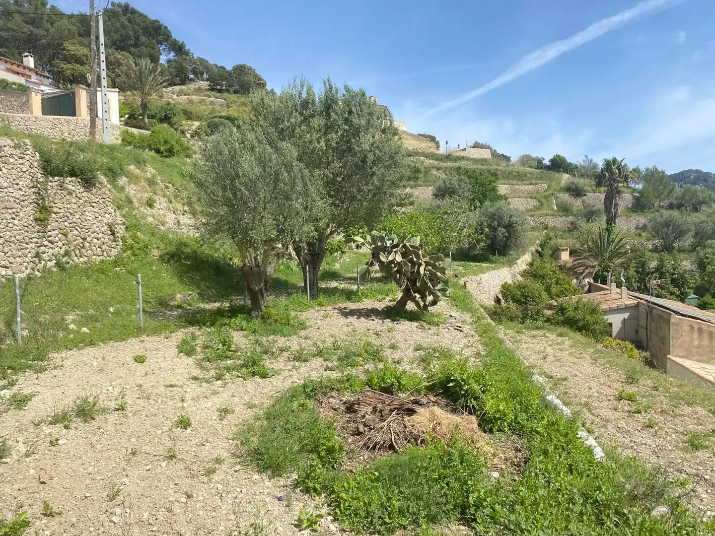 Wohnbaugrundstück zum Verkauf in Puigpunyent, imagen 3