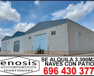 Industrial buildings to rent in Roldán