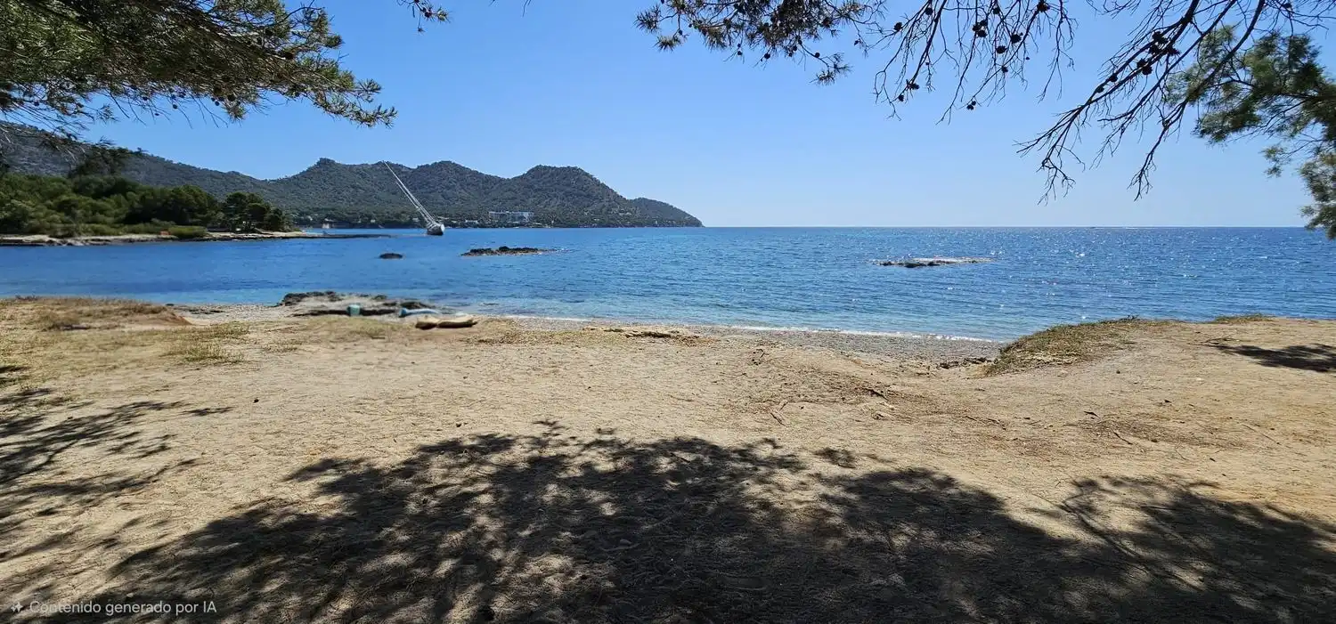 Ático con ascensor en venta en Port Nou - Port Verd  - Port Vell, imagen 47