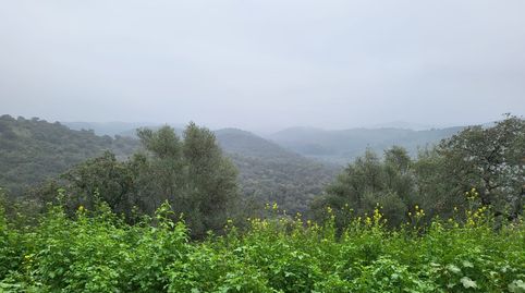 Immagine 3 dell'annuncio