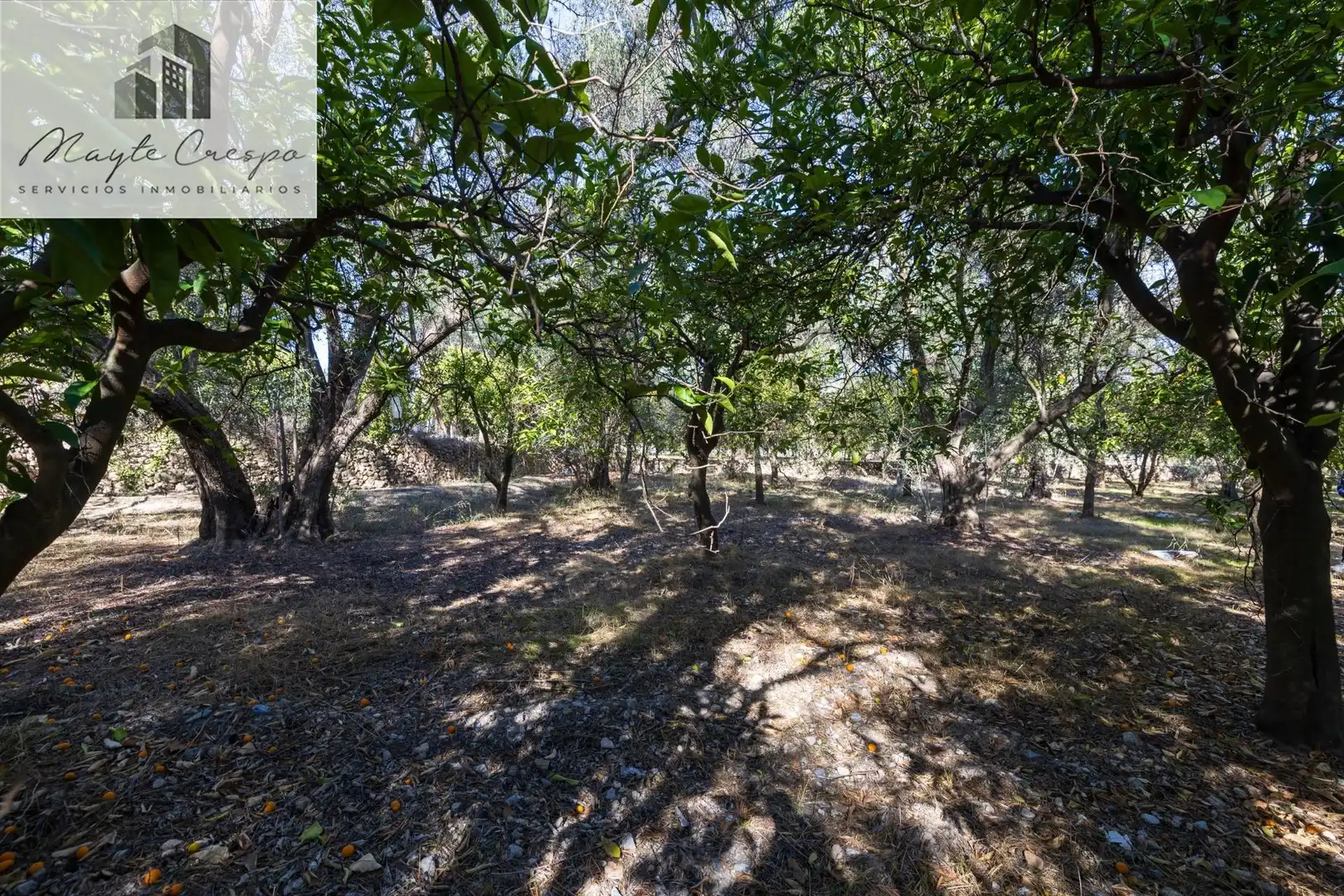 Terreno rustico in vendita a Lecrín, imagen 11