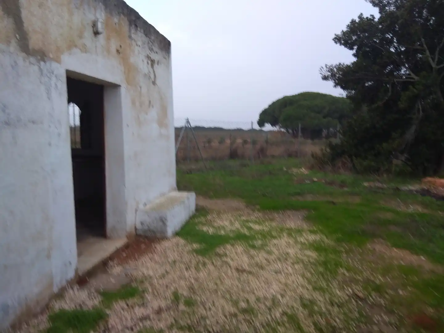 Casa amb jardí en venda a Carretera del Pago del Humo, imagen 4
