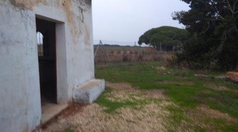 Foto 4 de Casa o chalet en venta en Carretera del Pago del Humo, Pelagatos - Pago del Humo, Cádiz