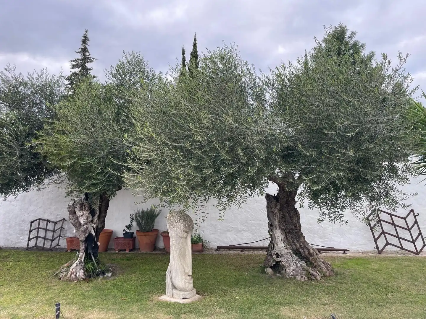 Garden of Country homes for sale in Burguillos  with Air Conditioner, Heating and Private garden