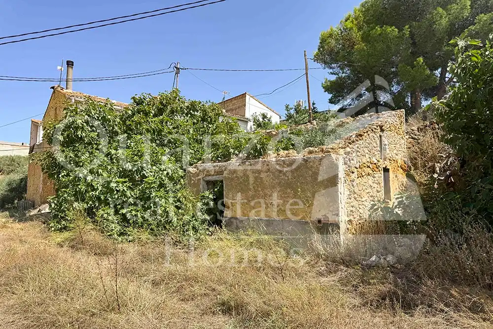 House with garden for sale in Calle Proyecto Número 3, imagen 4