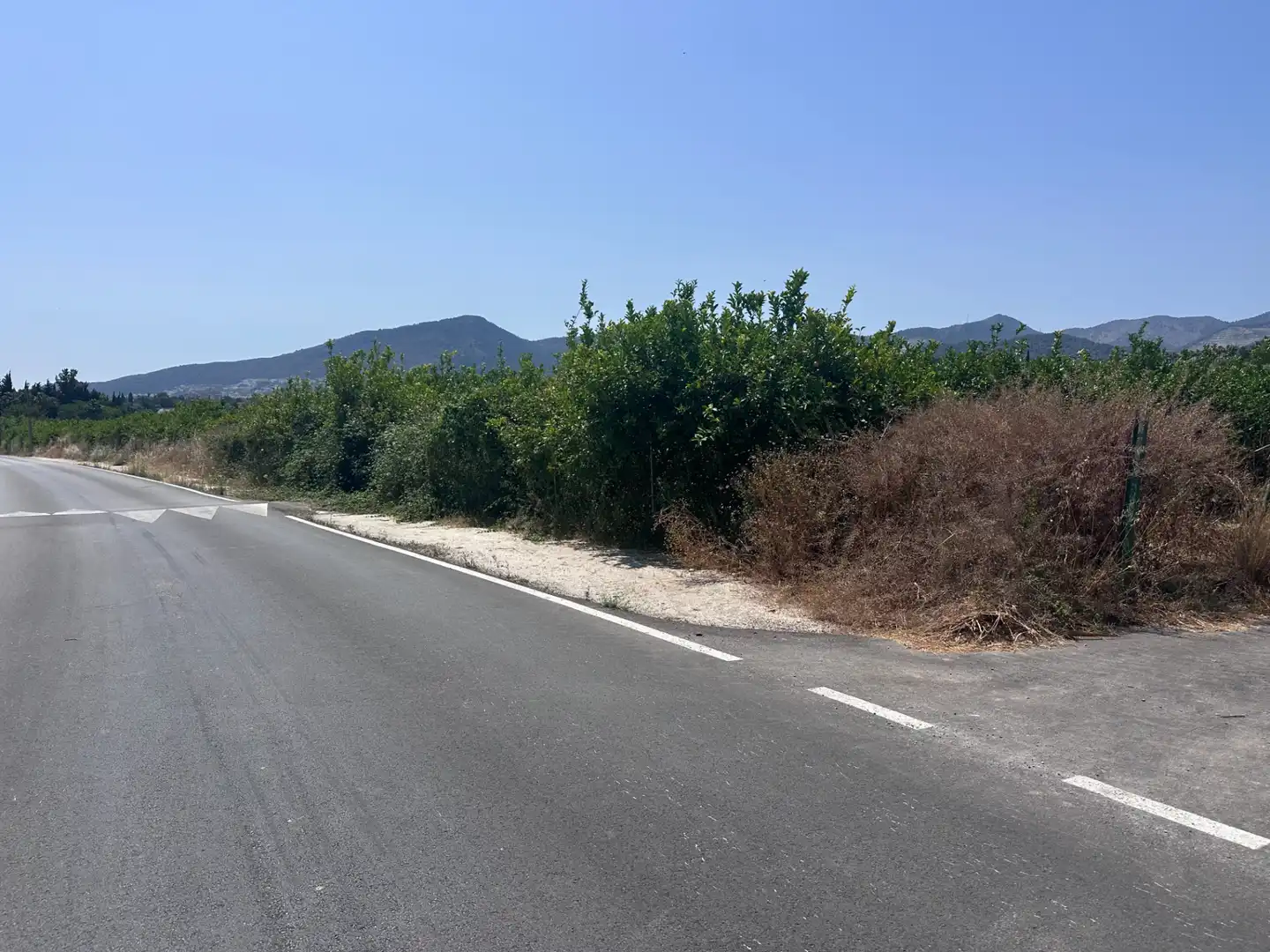 Terreno rustico in vendita a Buenavista - Lauro Golf, imagen 9