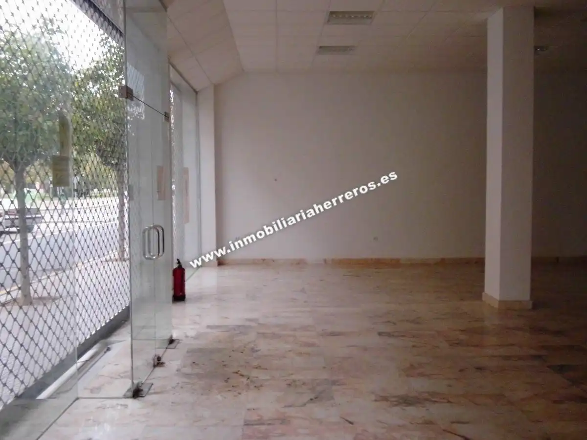 Business premises for sale in PINTOR ROSALES, imagen 3