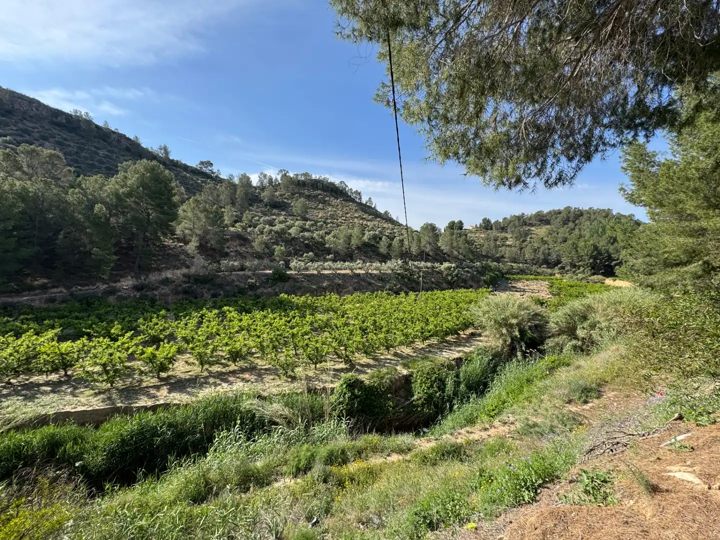 Terreno rustico in vendita a Calle 7.Canara 76, imagen 43