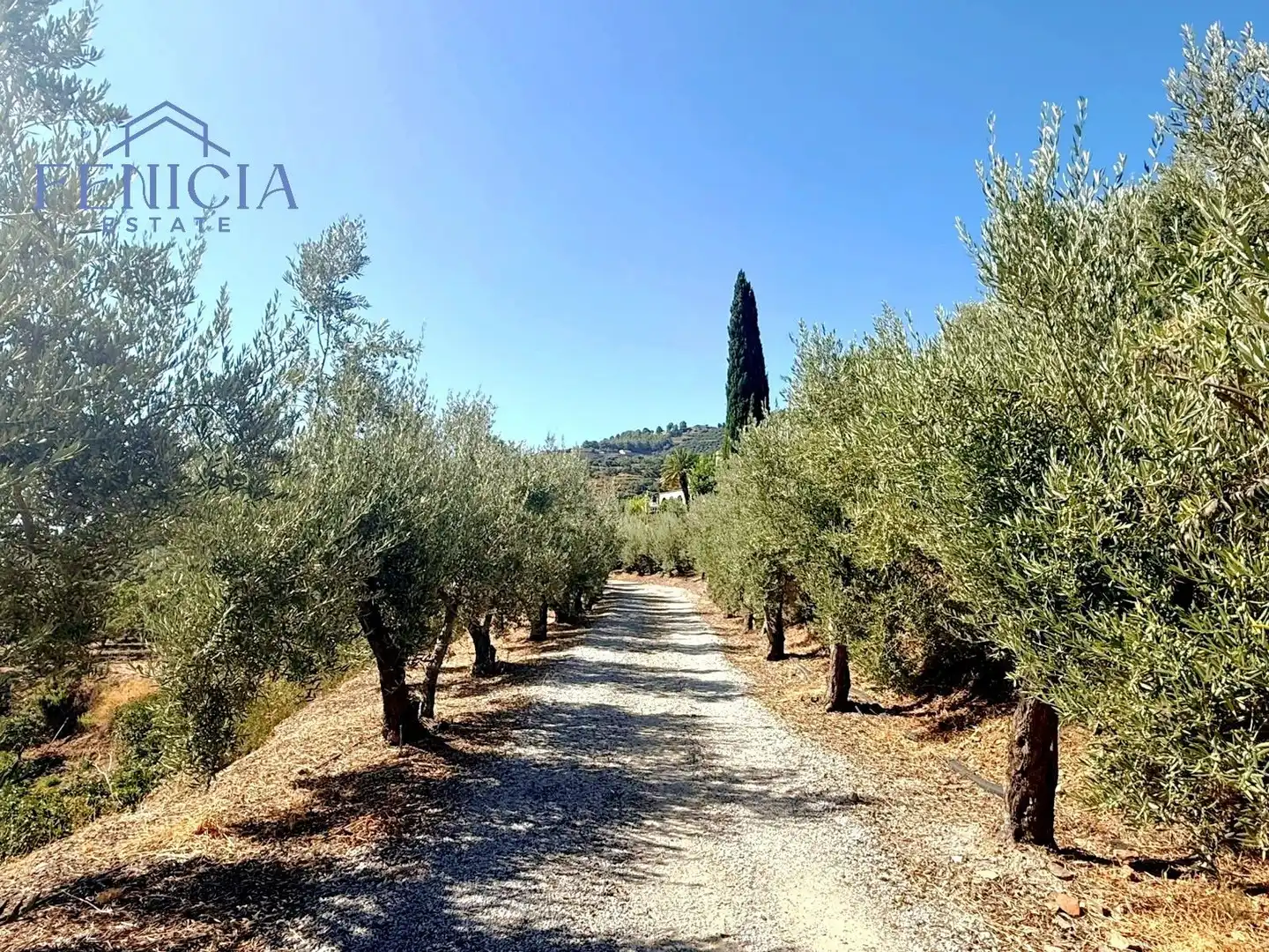 Vista exterior de Casa o chalet en venta en Almuñécar con Terraza, Trastero y Piscina
