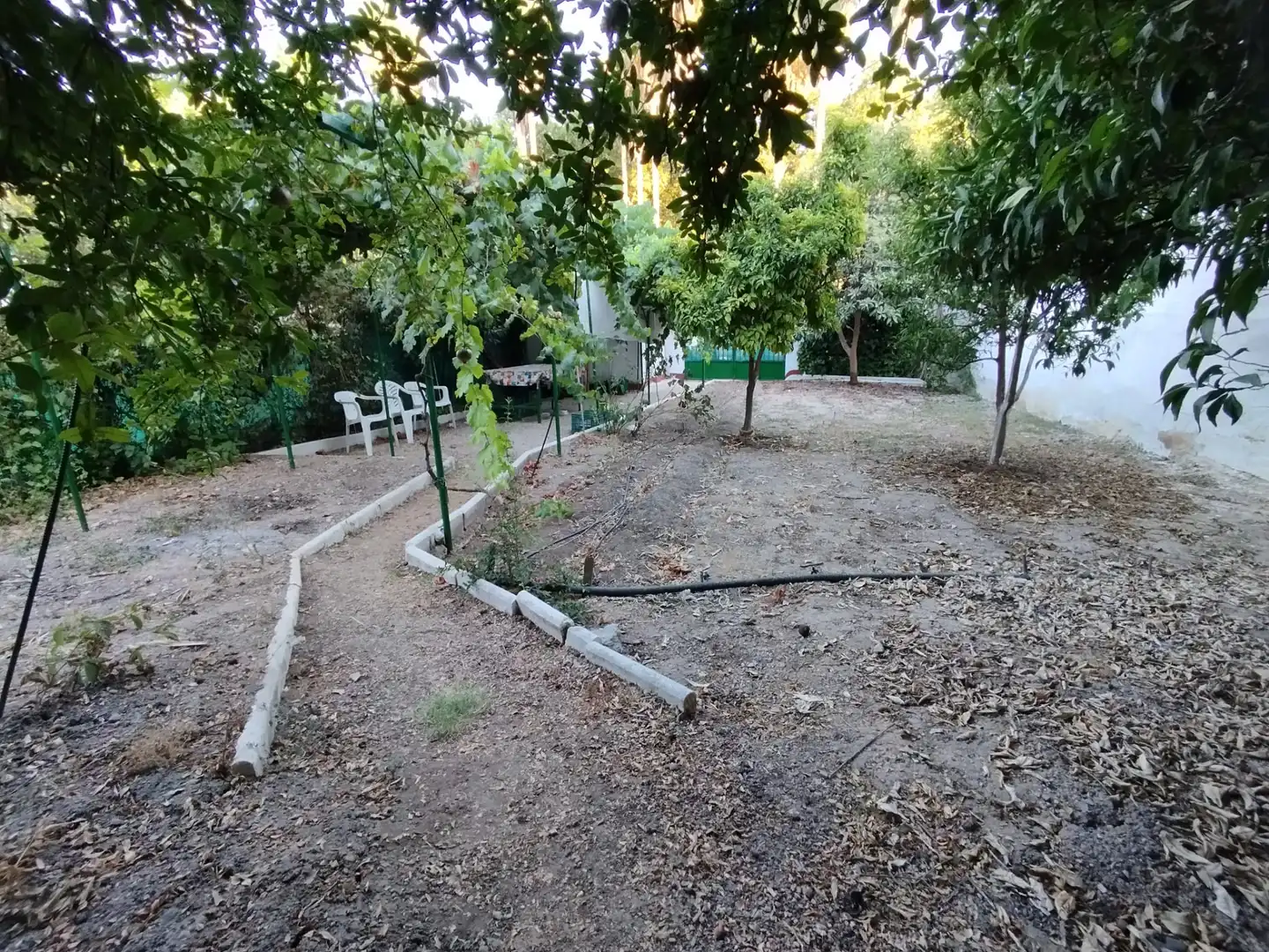 Terrain résidentiel à vendre à Cabra, imagen 9