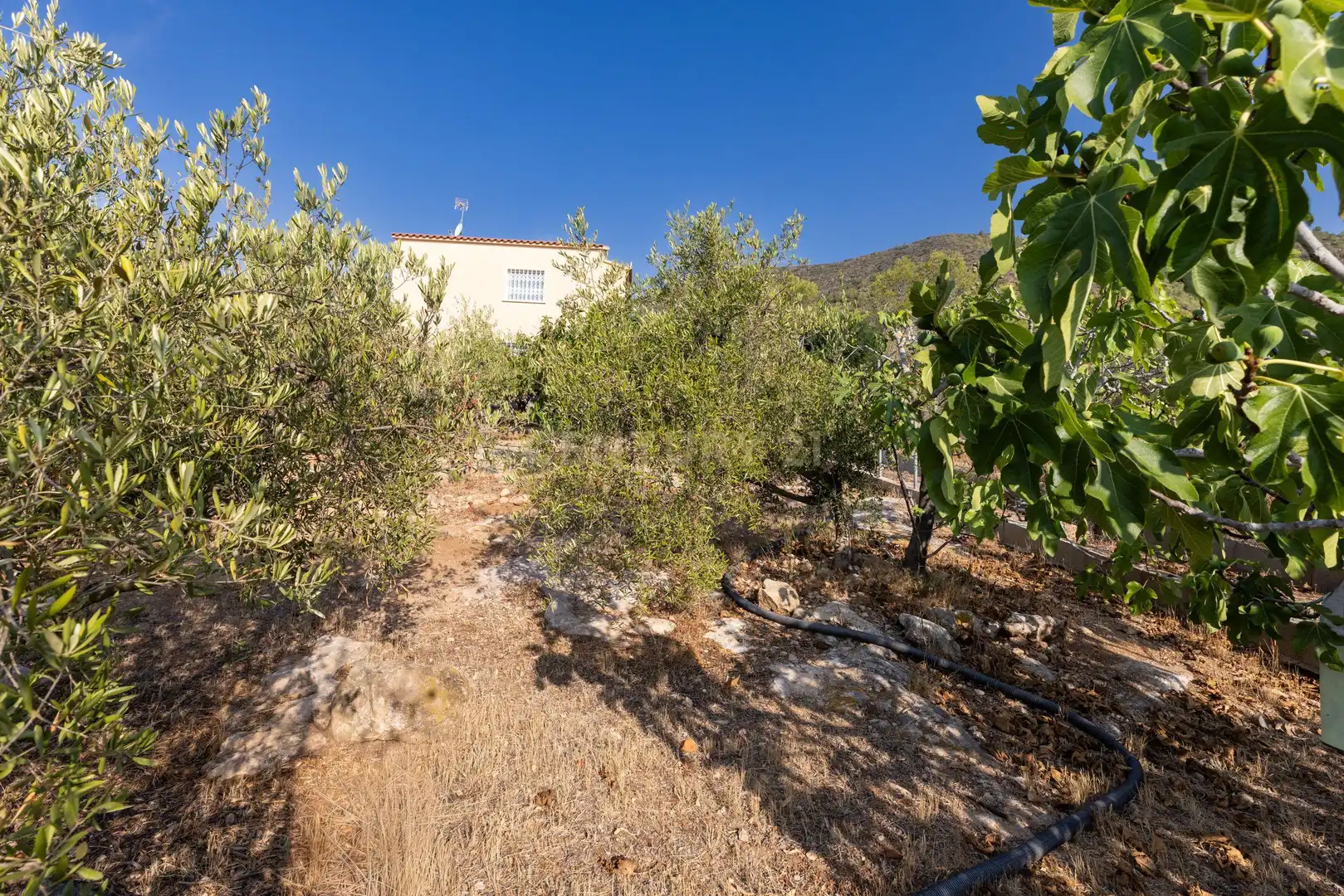 Houses for sale in El Montmell  with Air Conditioner and Private garden