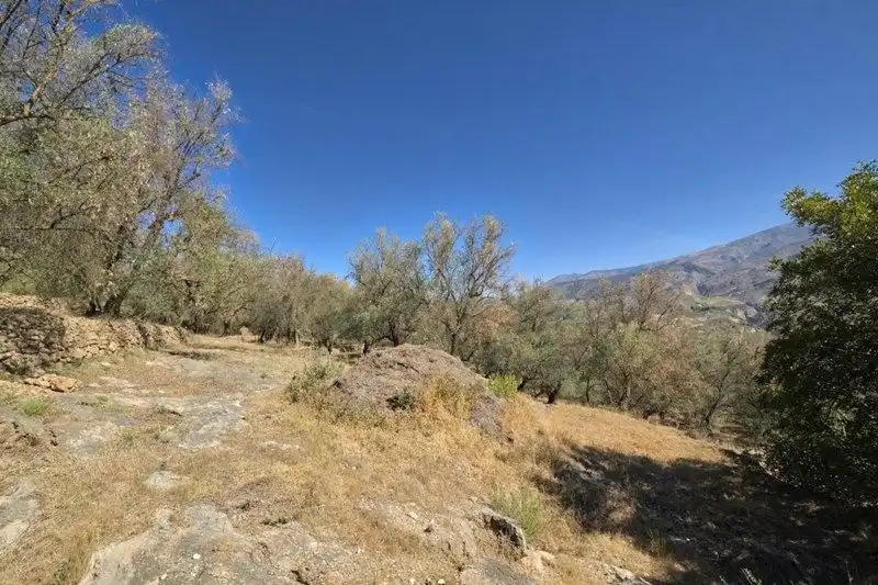 Terreno rustico in vendita a El Pinar, imagen 30