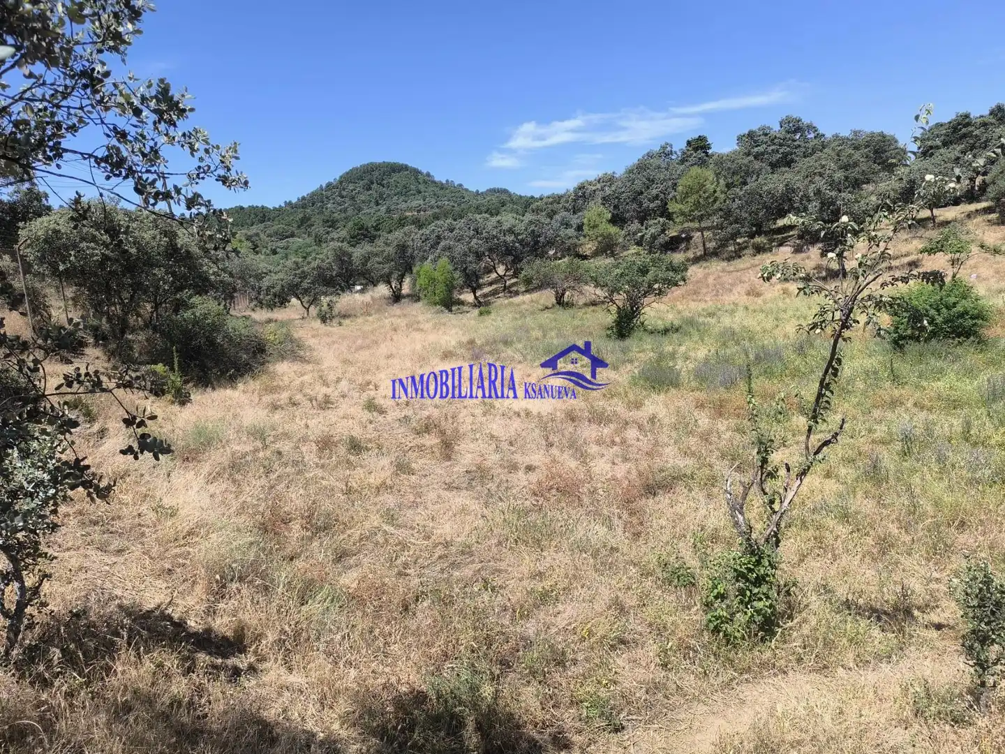 Houses for sale in Obejo