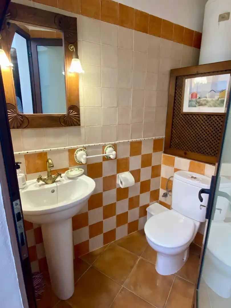 Bathroom of Houses for rent in Almáchar  with Furnished, Oven and Microwave