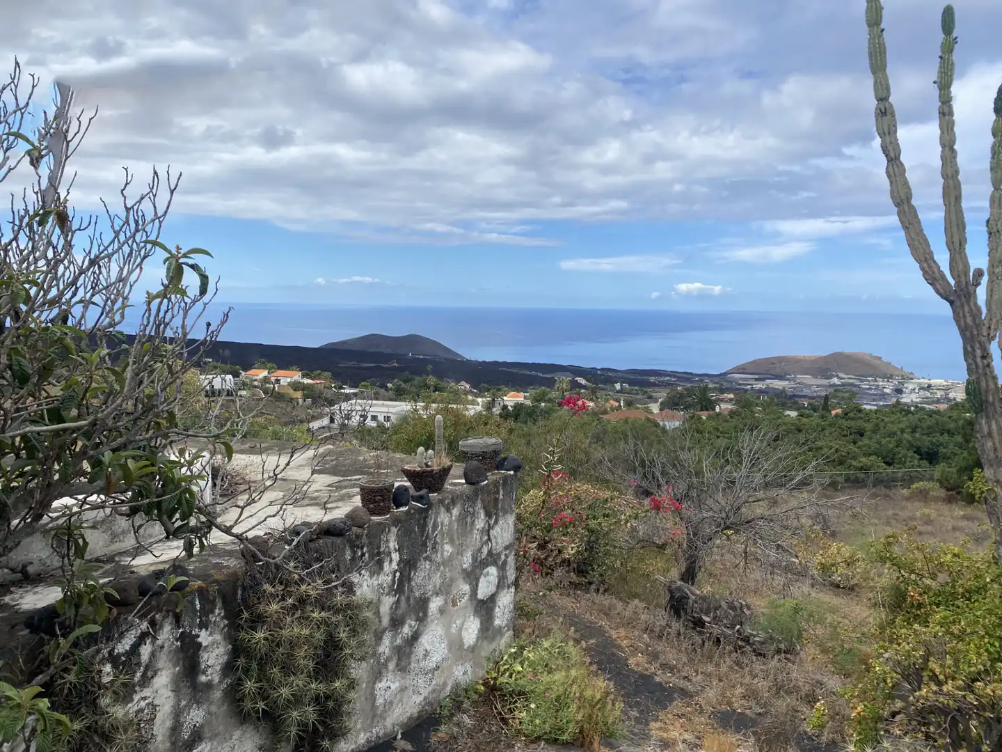 Vista exterior de Finca rústica en venta en Los Llanos de Aridane con Jardín privado y Amueblado