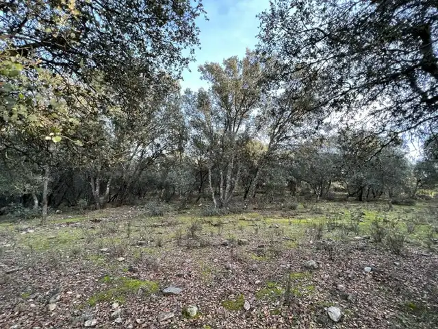 Terreno en venta en Almendral de la Cañada, Toledo