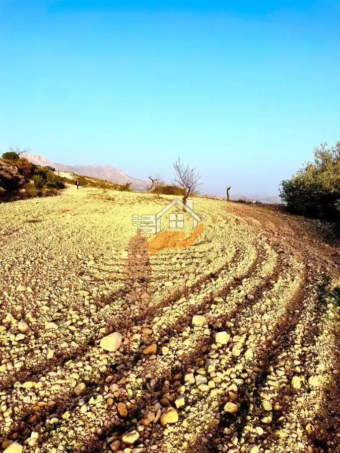 Lands and plots for sale in Vélez-Rubio