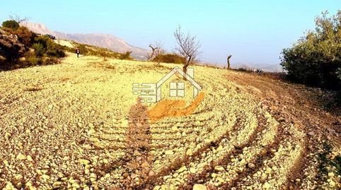 Terreno en venta en VélezRubio.