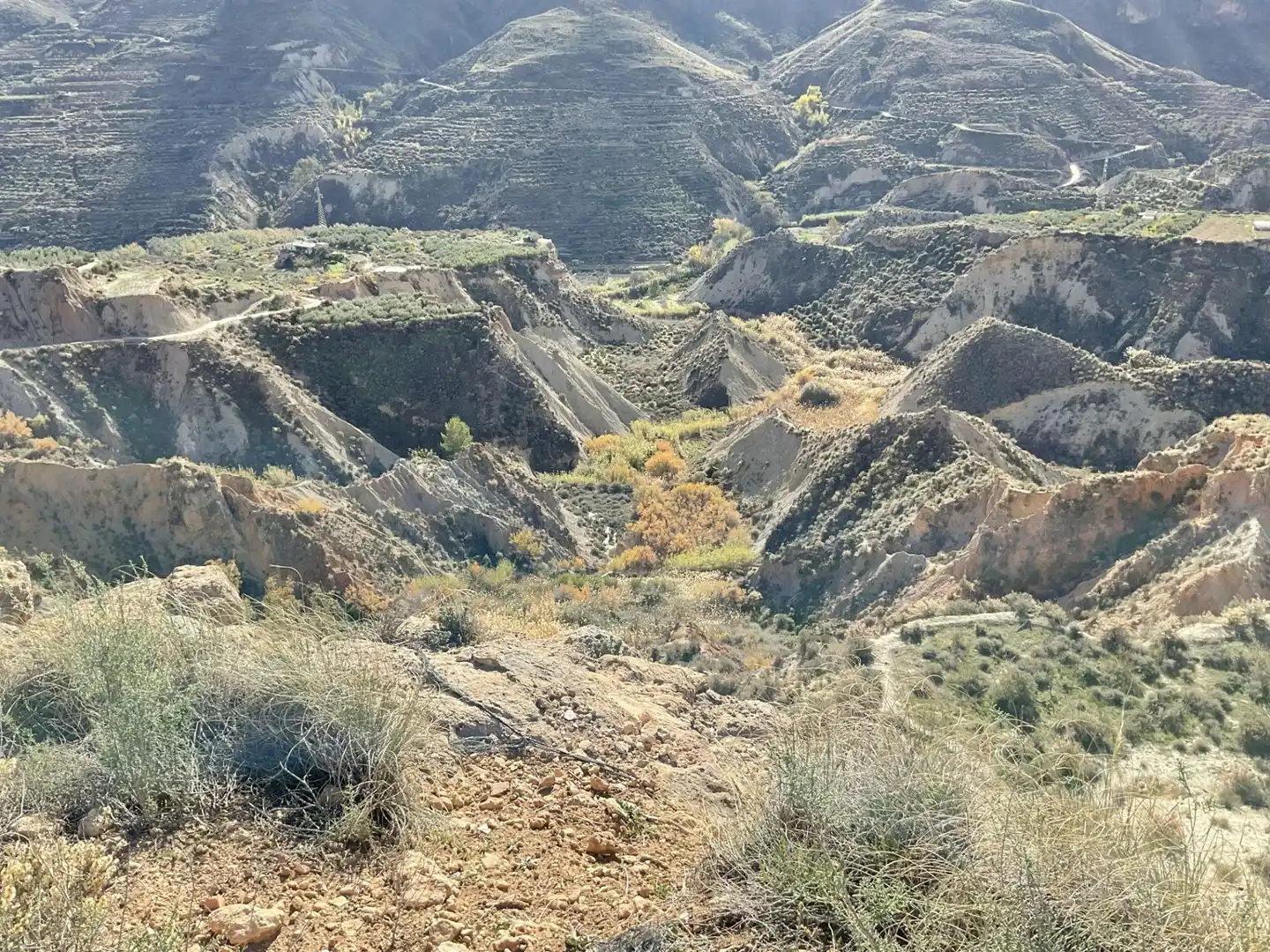 Exterior view of Land for sale in Padules