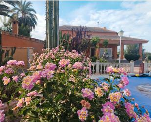 Garden of House or chalet for sale in Elche / Elx  with Heating, Terrace and Furnished