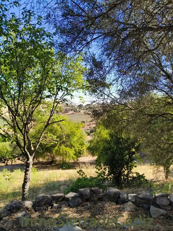 Finca rústica en venta en Zahara con Jardín privado, Terraza y Trastero