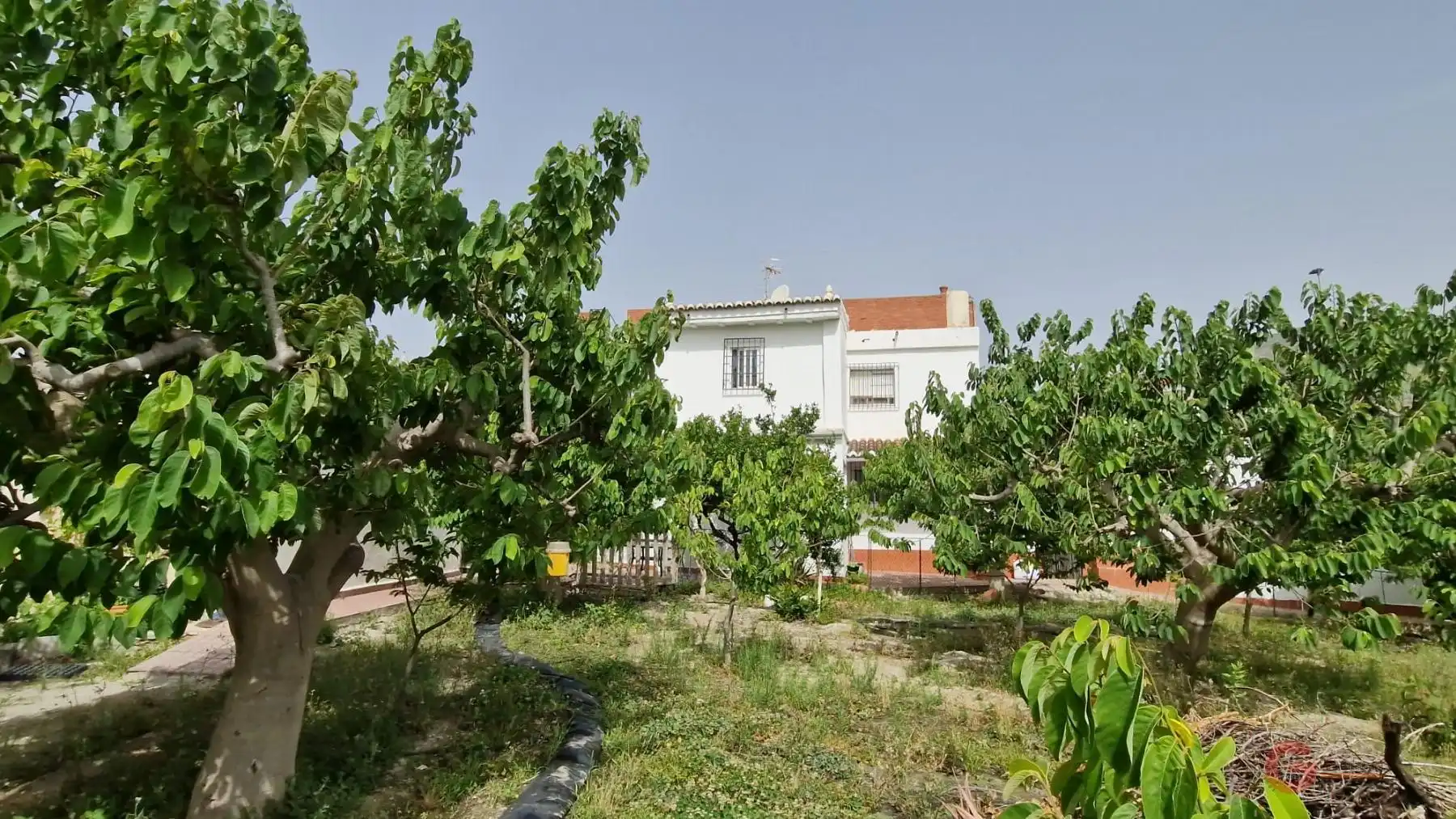 Country homes for sale in Lobres