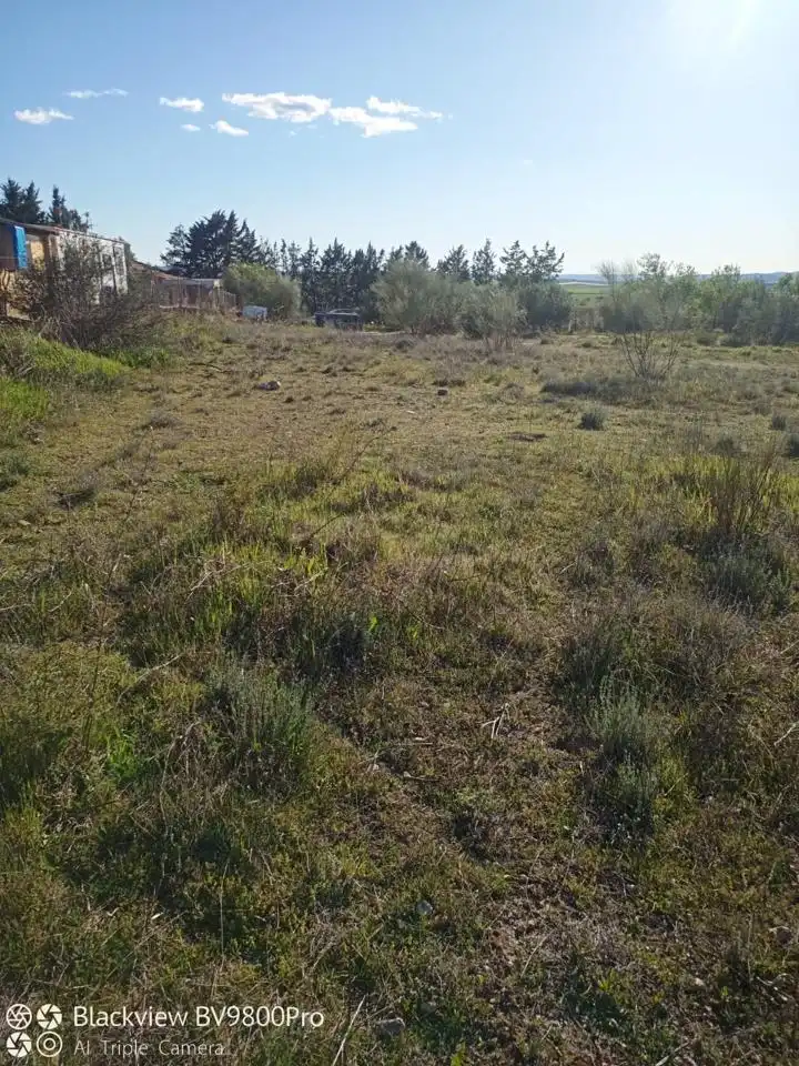 Terreni e lotti in vendita a Encina 130