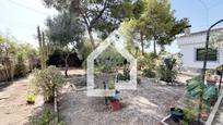 Jardí de Casa o xalet en venda en San Vicente del Raspeig / Sant Vicent del Raspeig amb Terrassa i Piscina