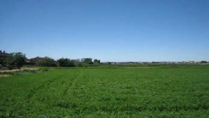Terreni e lotti in vendita a Sector Movera MV1 y MV2, área A-85, imagen 7