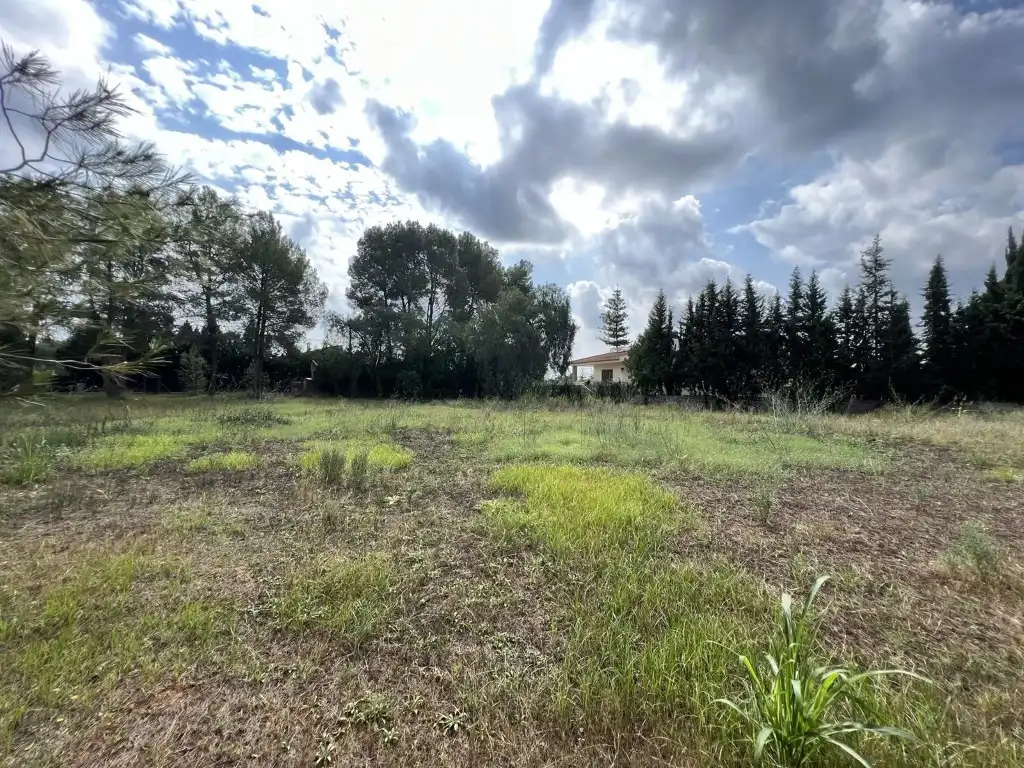 Terreny residencial en venda a Alberic, imagen 10
