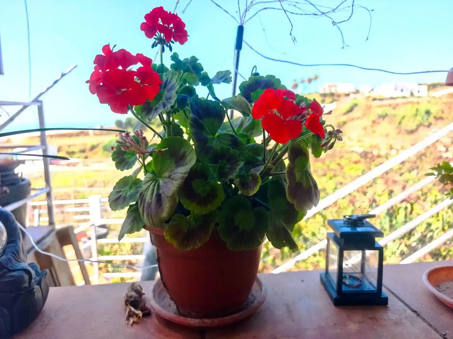 Terrassa de Finca rústica en venda en Algarrobo